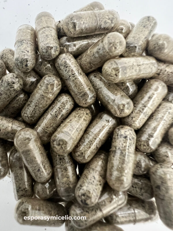 Capsulas de microdosis de psilocibina