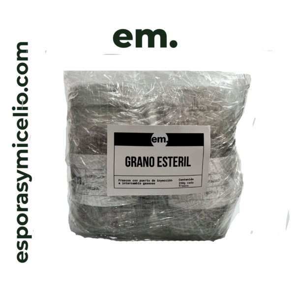 Grano estéril para el cultivo de hongos . Frasco de vidrio con puerto de inyección