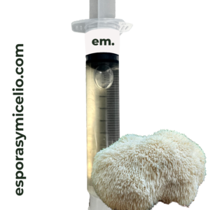 jeringa de micelio para el cultivo del hongo hericium erinaceus (Melena de león)