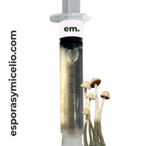 jeringa de micelio para el cultivo del hongo Panaeolus cyanescens variedad Red spore